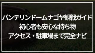 バンテリンドーム ナゴヤ観戦ガイド｜初心者も安心な持ち物・アクセス・駐車場まで完全ナビ