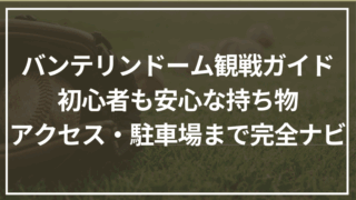 バンテリンドーム観戦ガイド｜初心者も安心な持ち物・アクセス・駐車場まで完全ナビ