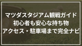 マツダスタジアム観戦ガイド｜初心者も安心な持ち物・アクセス・駐車場まで完全ナビ