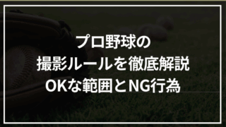 プロ野球の写真・動画撮影ルールを徹底解説｜SNS投稿でOKな範囲とNG行為