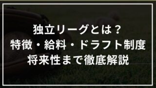 独立リーグとは？特徴・給料・ドラフト制度・将来性まで徹底解説